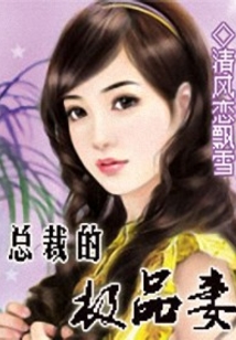 總裁的極品妻