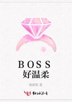 BOSS好溫柔在線閱讀