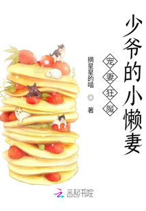 寵妻狂魔：少爺的小懶妻