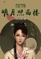 夜半明月照西楼
