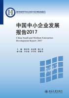 中国中小企业发展报告2017在线阅读