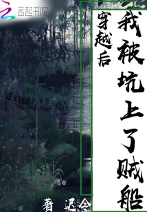 穿越后我被坑上了賊船
