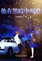 他在黑暗中叹息