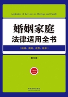 婚姻家庭法律适用全书（第五版）在线阅读