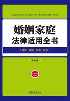 婚姻家庭法律适用全书(第五版)在线阅读