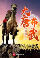 大唐布武在線閱讀