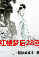 红楼梦后28回