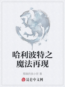 哈利波特之魔法再現