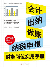 會計 出納 做賬 納稅申報財務崗位實用手冊