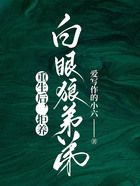 重生后，拒養(yǎng)白眼狼弟弟在線閱讀