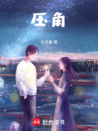 压角在线阅读