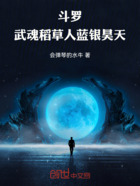 斗罗:武魂稻草人,蓝银昊天在线阅读