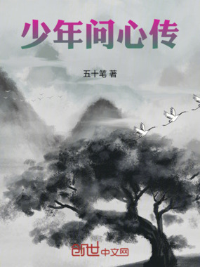 少年问心传在线阅读