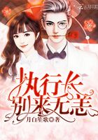 執(zhí)行長，別來無恙在線閱讀