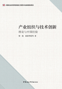 產業組織與技術創新:理論與中國經驗