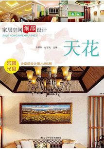 家居空間細(xì)部設(shè)計(jì)天花