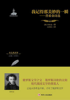我记得那美妙的一瞬:普希金诗选在线阅读
