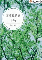那年槐花開正好在線閱讀