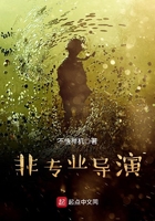 非專業(yè)導演在線閱讀