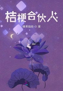 桔梗合伙人
