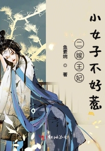 二嫁王妃不好惹