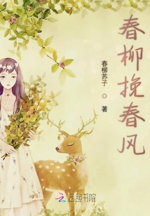 春柳挽春風