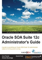 Oracle SOA Suite 12c Administrator's Guide在线阅读