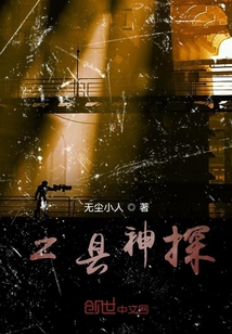 z縣神探