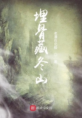 埋骨藏冬山在线阅读