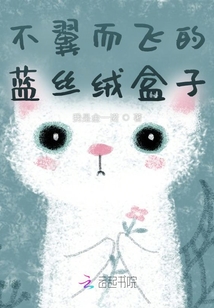 不翼而飛的藍絲絨盒子