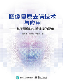 圖像復原去噪技術與應用：基于圖像塊先驗建模的視角