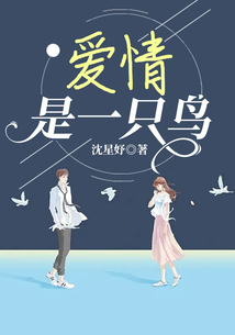 愛情是一只鳥