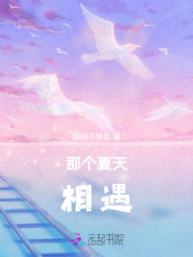 那個夏天相遇