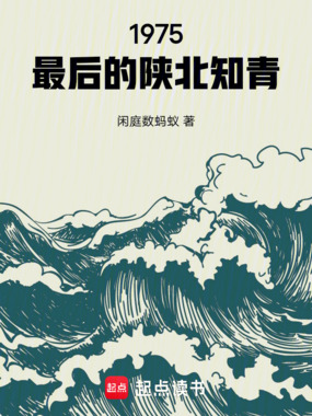 1975,最后的陕北知青在线阅读