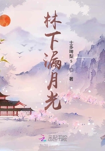 林下漏月光