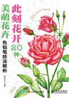 此刻花开：20种美萌花卉色铅笔技法解析在线阅读