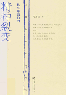 這些年我們的精神裂變:看懂你自己的時代