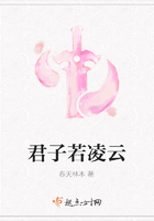 君子若凌云在线阅读