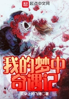 我的梦中奇遇记在线阅读