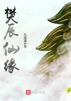 樊辰仙缘