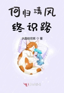 何歸清風終識路