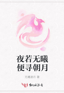 夜若無曦便尋朝月