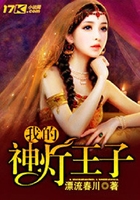 我的神灯王子在线阅读
