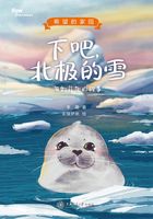 下吧，北极的雪：海豹菲加的故事