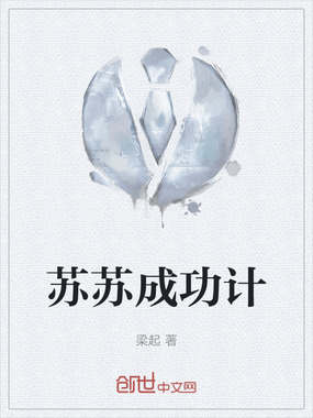 苏苏成功计在线阅读