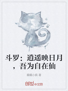 斗罗:逍遥映日月,吾为自在仙在线阅读