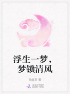 浮生一梦,梦锁清风在线阅读
