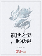 镇世之宝,照妖镜在线阅读