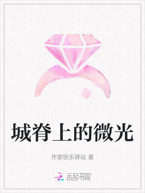 城脊上的微光在线阅读