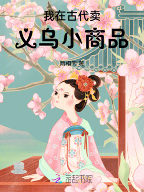 我在古代卖义乌小商品在线阅读
